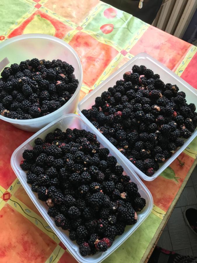 Violette Lejlighed Bordeaux Eksteriør billede
